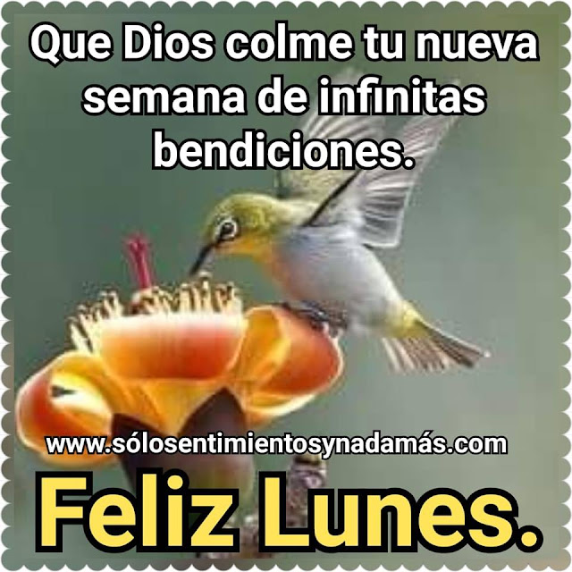 Feliz lunes.