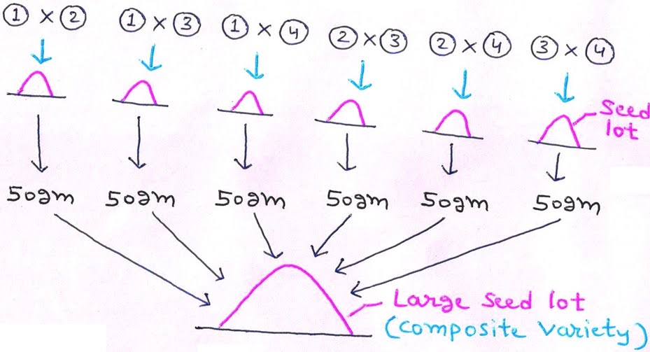 Composite and Synthetic Varieties