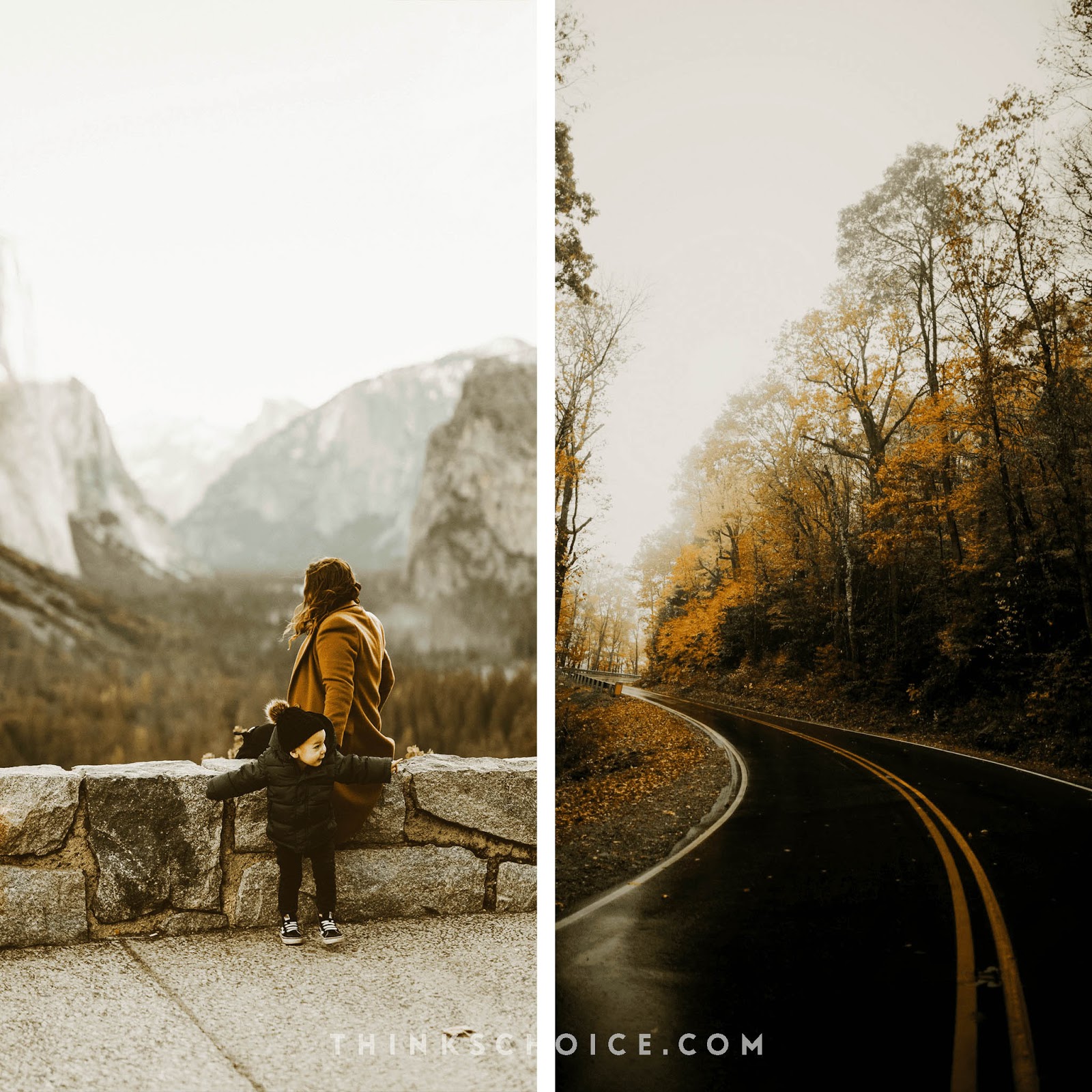 Jungle Presets - Minimal Brown Collection (LR Desktop & Mobile)