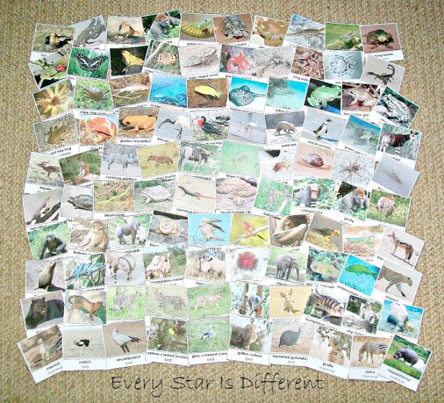 100 Animals of Africa Cards (Free Printable)