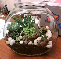 Cómo construir tu propio Terrarium