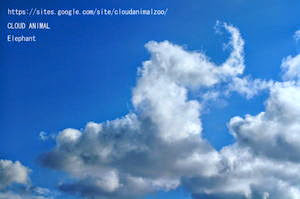 動物雲の画像集
