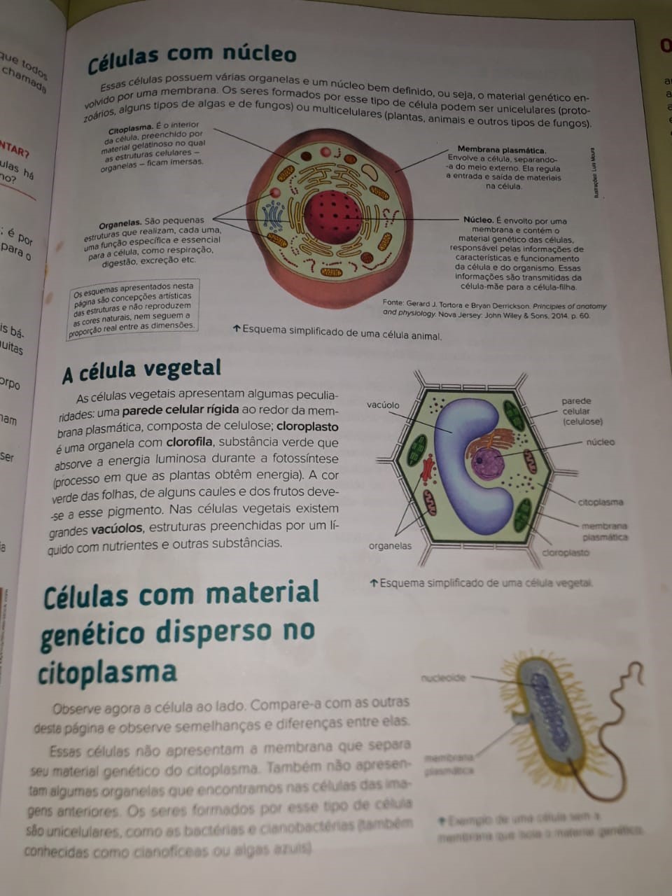 Trabalho sobre conhecimento cientifico Trabalho sobre conhecimento cientifico