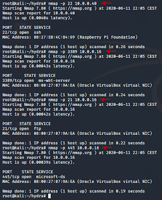 hydra-fuerza-bruta-wordlist-ftp