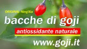 Bacche di Goji