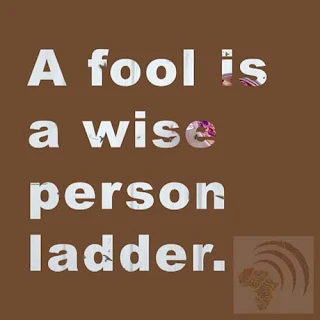 African proverb a fool is a wise person ladder.