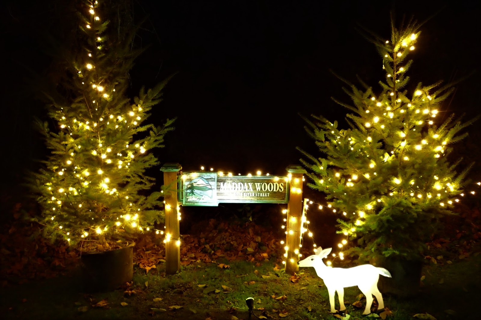West Linn Maddox Woods Christmas Lights 2022 Casing Oregon: Christmas By The River: Maddax Woods