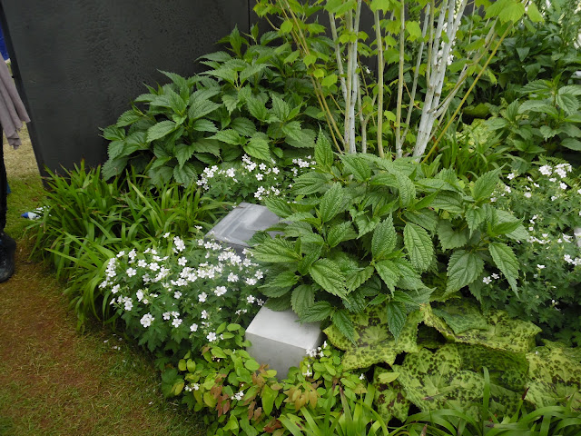 Chelsea Flower Show 2018