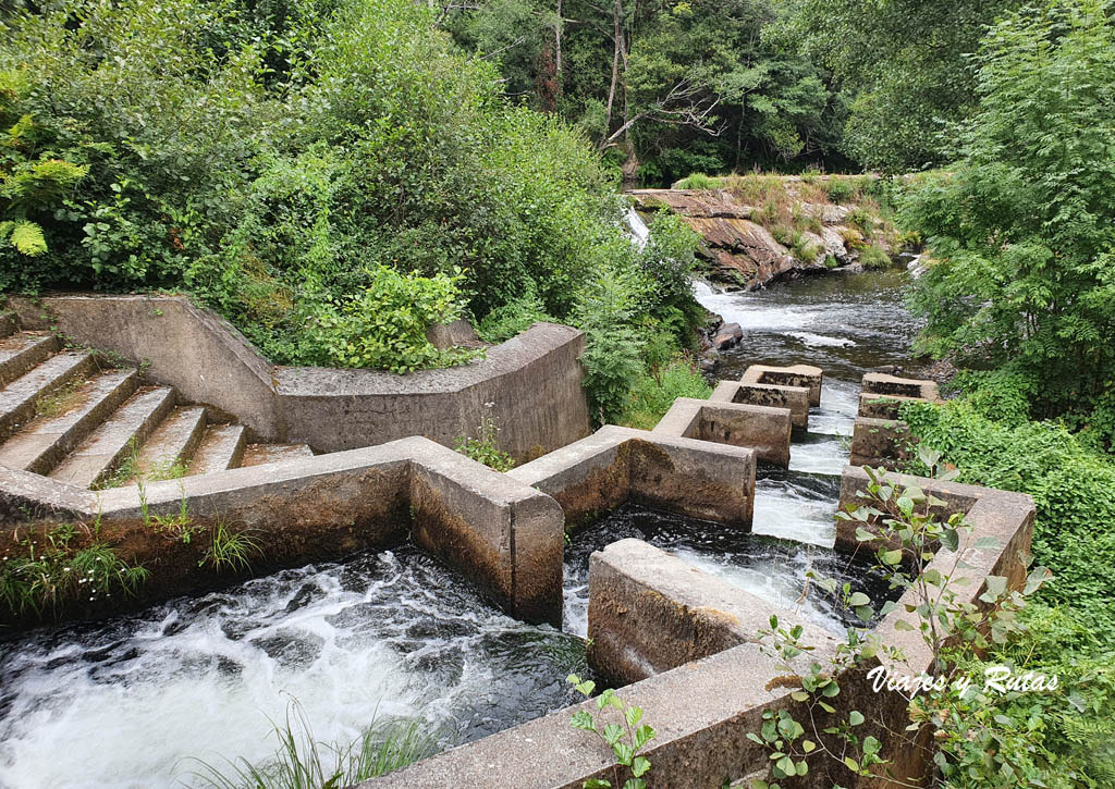 Escala de salmones de la Vía verde del ferrocarril del Eo