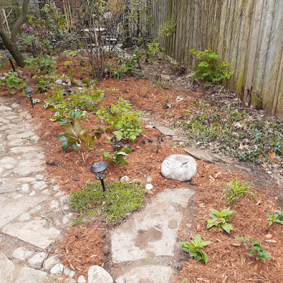 Mount Pleasant East Toronto Garden Renovation After by Paul Jung Gardening Services--a Toronto Organic Gardening Company