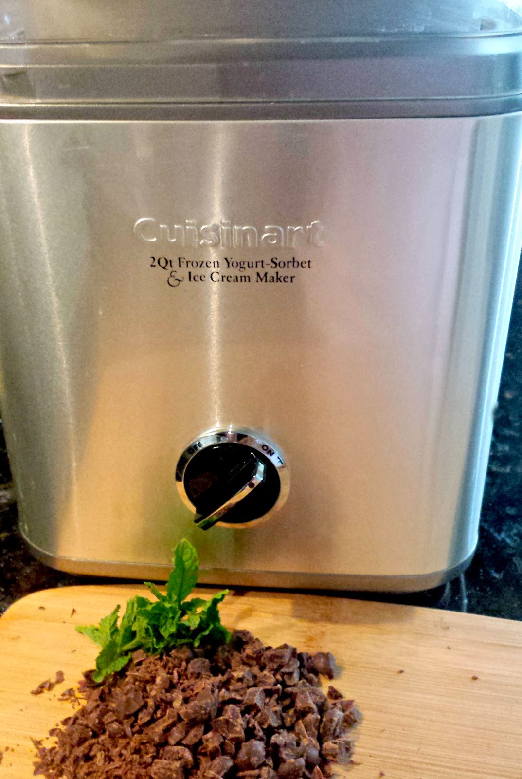 Mint Chocolate Chip Ice Cream with Fresh Eggs Fresh Eggs Daily®