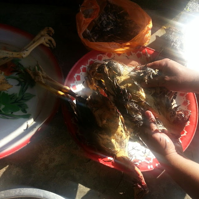 Cara-cara-memasak-sup-ayam-kampung-yang-mudah-dan-sedap