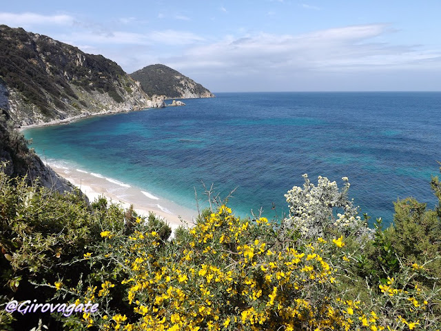 isola elba spiaggia Sansone