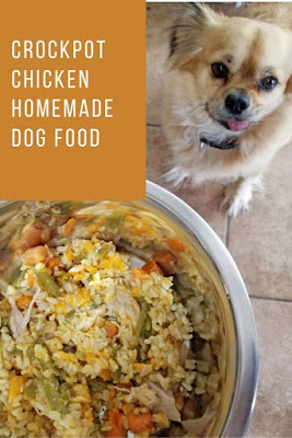 Top 10 DIY Homemade Dog Food Recipes