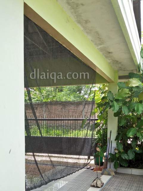 d'Laiqa Arena: Memasang Paranet Sebagai Tirai Pelindung Di Rumah