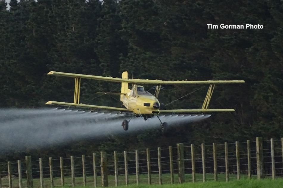 NZ Civil Aircraft Turbine Ag Cat ZKWTA Spraying near Ohakea 872019