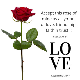 Happy Rose Day Shayari, 7th 2020 Feb Wishes Quotes