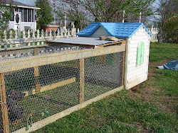 chicken coop plastic playhouse coops run backyard farm chickens runs houses duck dog play easy coup tikes hen repurpose child
