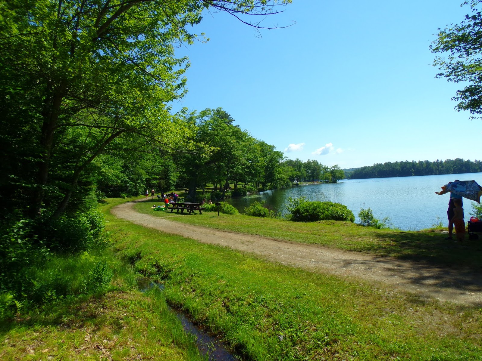 Lake St. State Park, Liberty, Maine