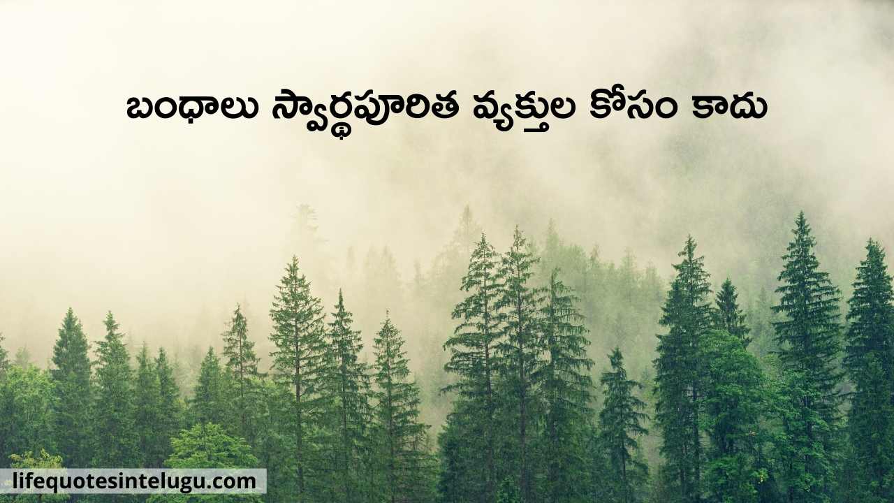 Selfish-Quotes-In-Telugu