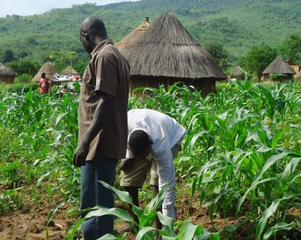 APPLY FOR NATIONAL AGRICULTURAL LAND DEVELOPMENT AUTHORITY (NALDA) PROGRAME