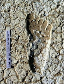 Nephilim Giants and their huge ancient footprints have set in stone. Nephilim Giants and their huge ancient footprints have set in stone.