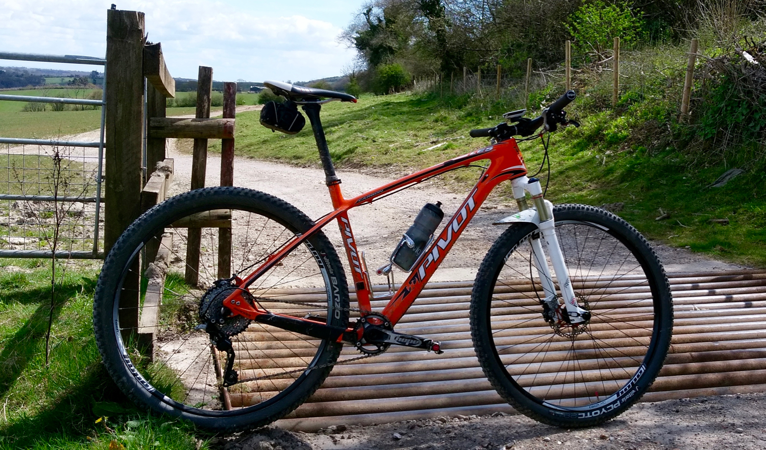 pivot bike grips