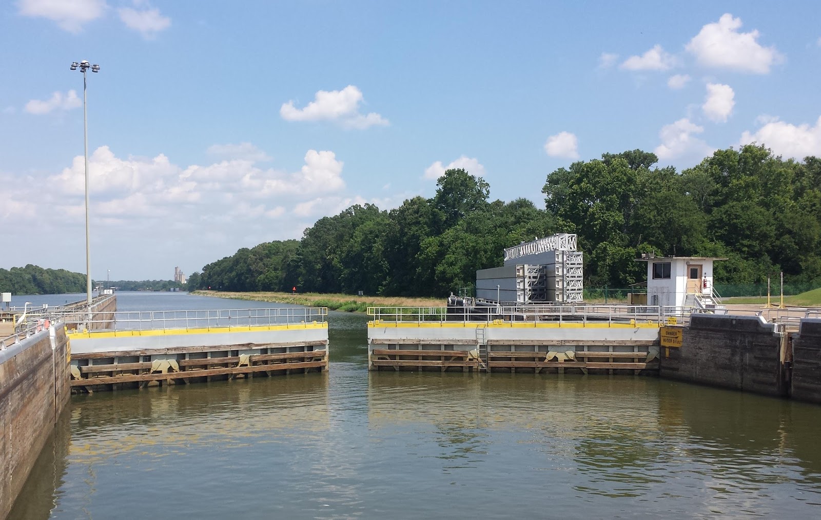 Our Odyssey Demopolitan Mayfly Mayhem