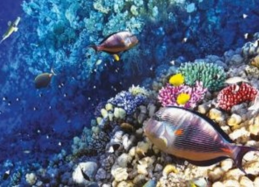 Kekurangan Sumber Daya Alam Pesisir Pantai