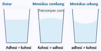Gaya Tarik Antar Partikel Kohesi Dan Adhesi