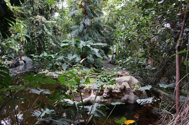 Jardin des Plantes - Serre des forêts tropicales humides