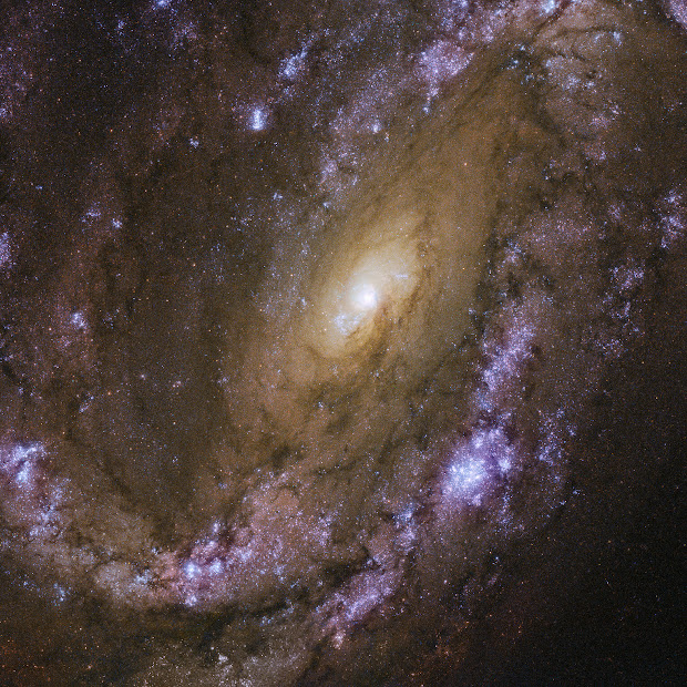 Intermediate Spiral Galaxy NGC 4051