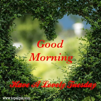 good morning tuesday images good morning tuesday images