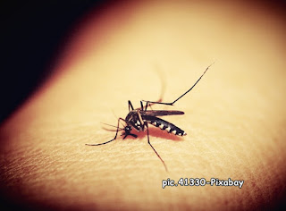 gigitan nyamuk meyebabkan gatal dan membawa virus