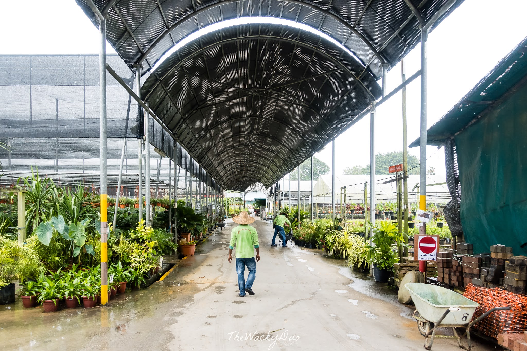 World Farm Singapore Review Singapore's Largest Nursery Farm for public?