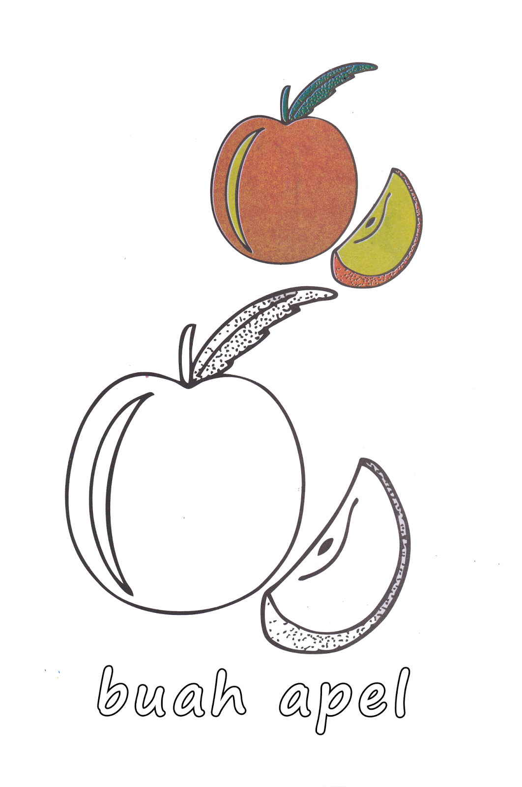 Gambar Mewarnai Buah Apel dan Mangga Untuk Anak PAUD dan TK