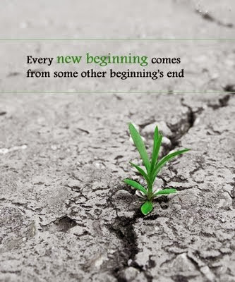 Tai Chi del Parque: 2013