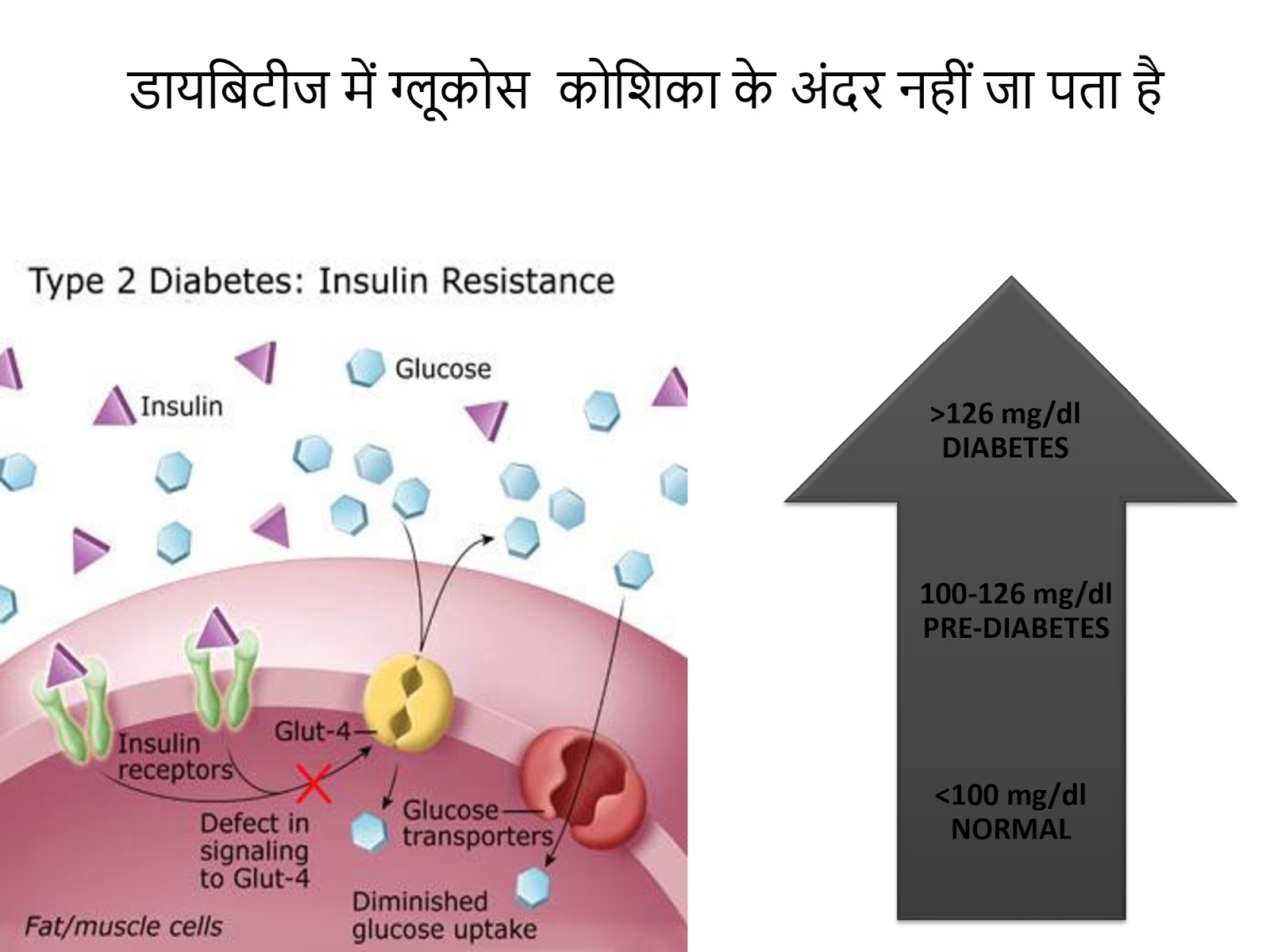 Vestige success plan in bengali pdf picture