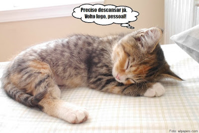 Descrição da imagem #PraCegoVer: Uma foto de uma gatinha filhote tricolor dormindo em cima de uma cama de humanos, ao lado da ponta de um travesseiro. Acima da gatinha, está um balão de pensamento escrito "Preciso descansar já. Volto logo, pessoal!". Fim da descrição.