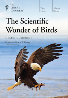The Scientific Wonder of Birds