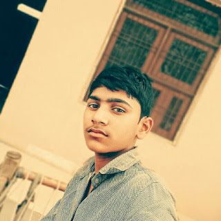 Navodaya gov in bharatpur picture