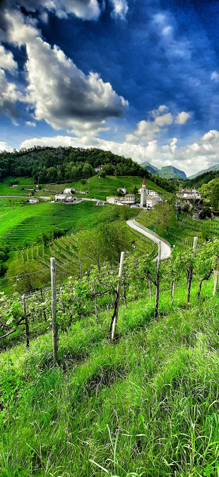 strada del prosecco itinerario in auto strada del prosecco itinerario in auto