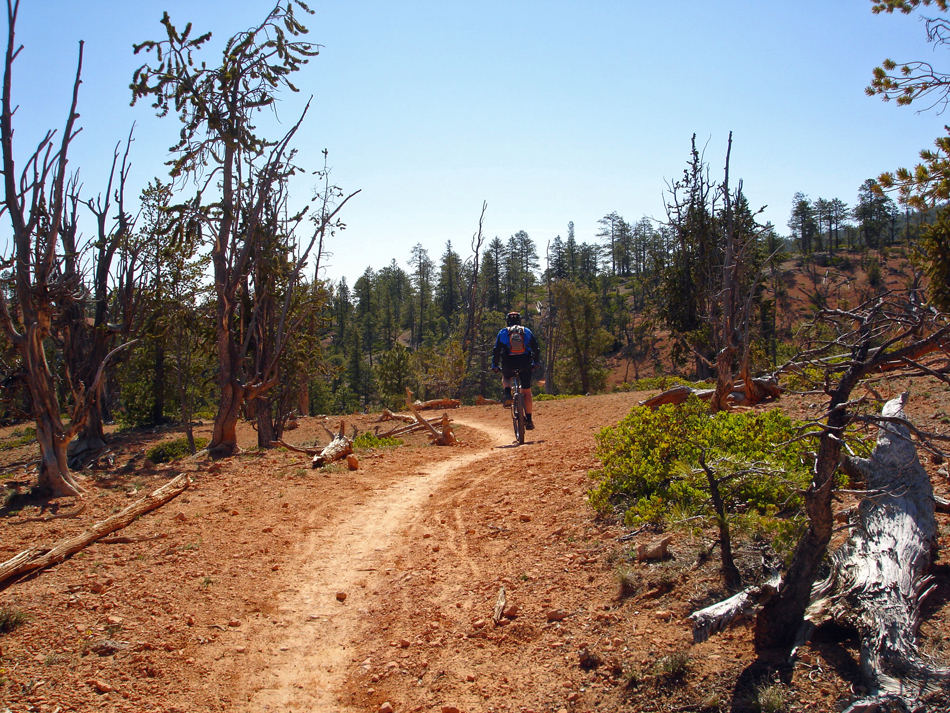 Back Country Roads: Thunder Mountain Trail Utah
