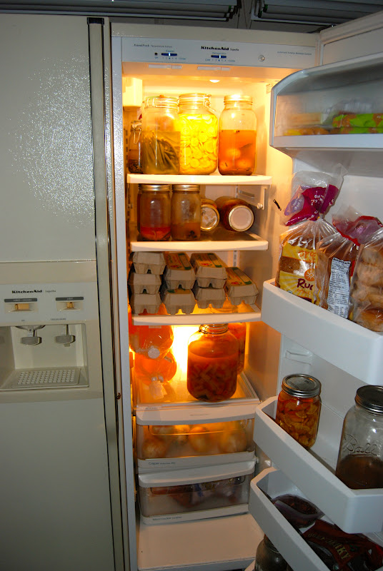 Natural Health and Prevention The Second Fridge...