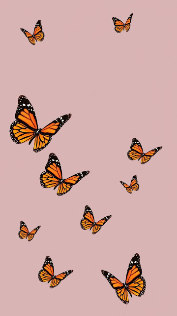 iphone aesthetic butterfly wallpaper