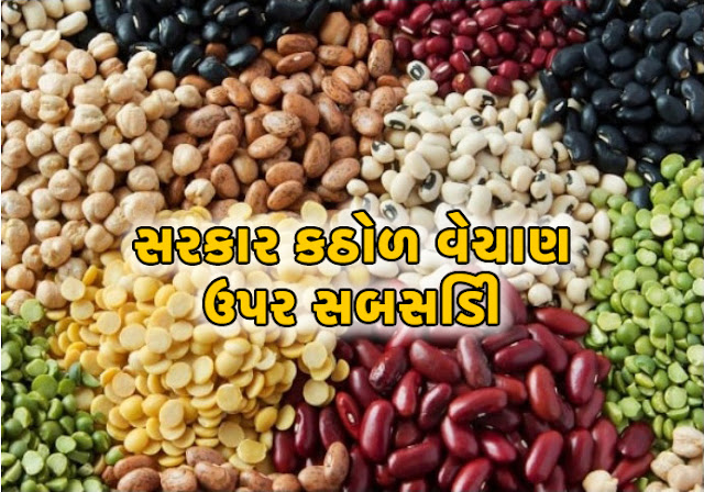 The Indian govt may announce a subsidy of Rs10 to Rs15 per kg on the sale of Agriculture in India pulses The Indian govt may announce a subsidy of Rs10 to Rs15 per kg on the sale of Agriculture in India pulses