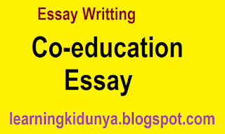 Co-education Essay