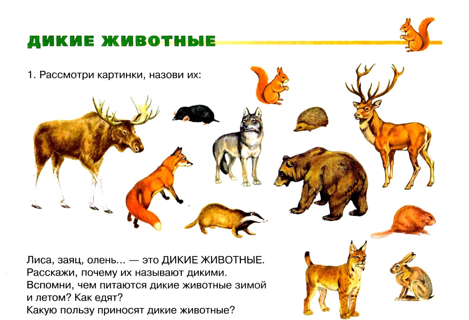 О диких животных для дошкольников