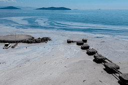 "مخاط البحر" يجتاح الساحل التركي وأردوغان يحث المسؤولين المحليين على التحقيق