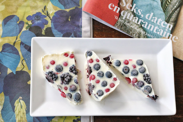 Frozen Yoghurt Berry Bark